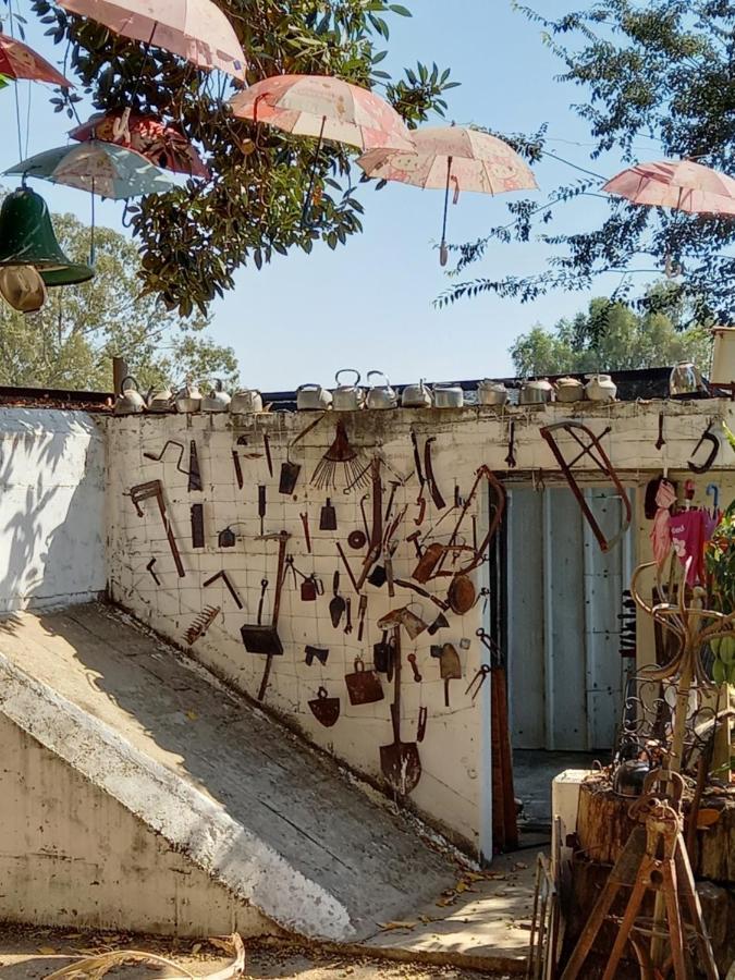 דירות כפר סאלד צימר בודד בגליל העליון מראה חיצוני תמונה